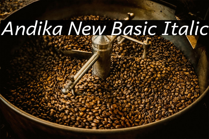 Andika New Basic Italic Example 3