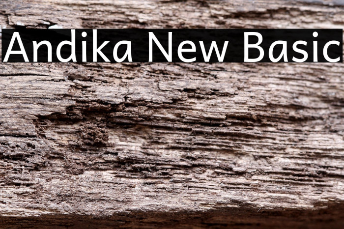 Andika New Basic Example 1