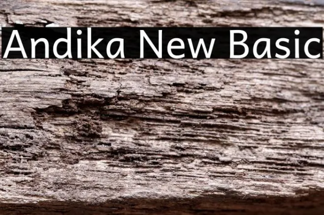 Andika New Basic Example 1