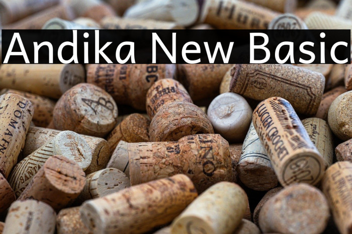 Andika New Basic Example 2