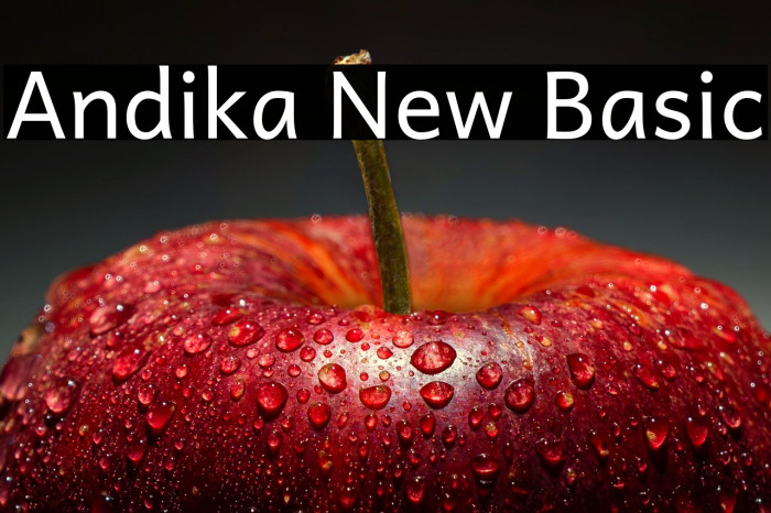 Andika New Basic Example 3