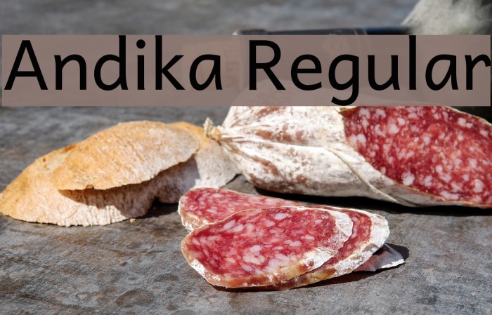 Andika Regular Font examples