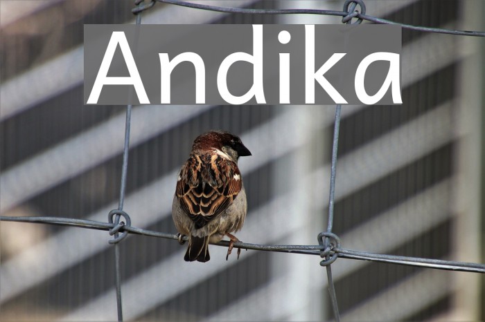 Andika Font examples