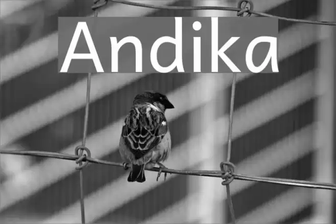 Andika  examples