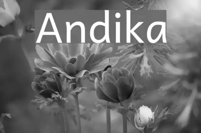 Andika  examples