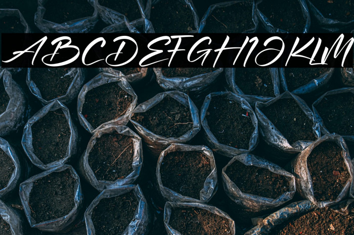 Andilanteria Signature Example 2