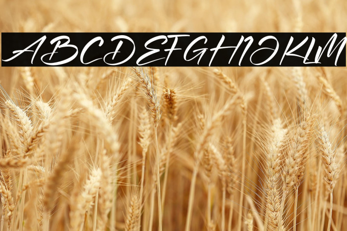 Andilanteria Signature Example 3