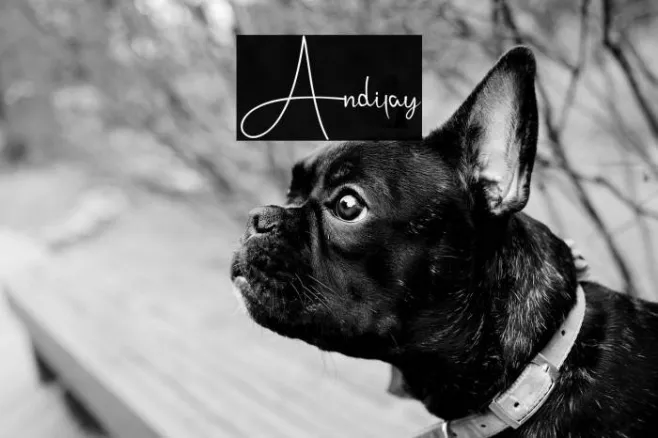 Andilay Example 2