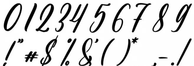 Andina Font OTHER CHARS