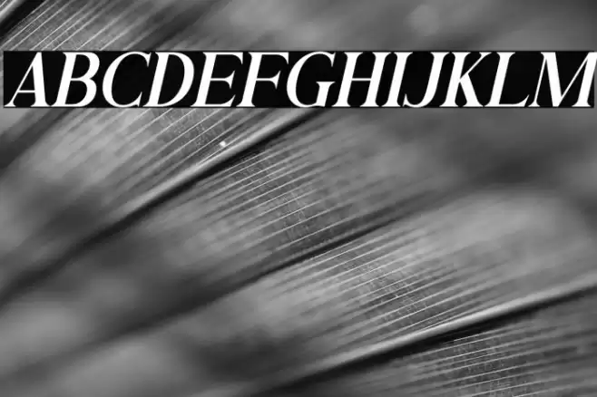 Andine Italic Font examples