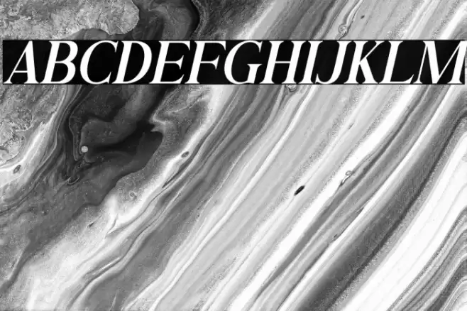 Andine Italic Font examples