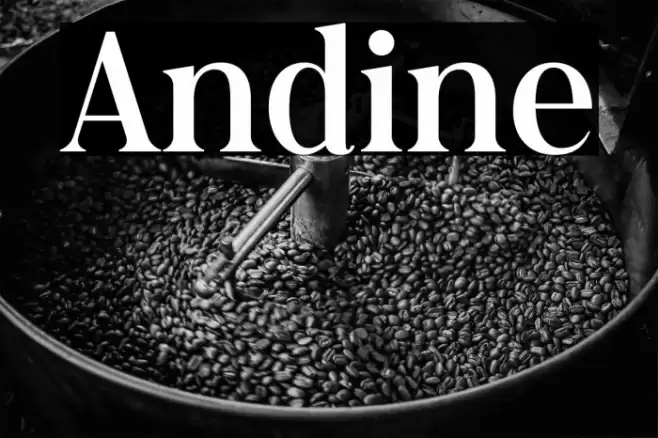 Andine Font examples