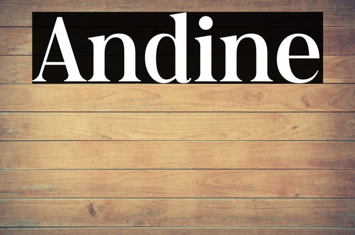 Andine Example 3