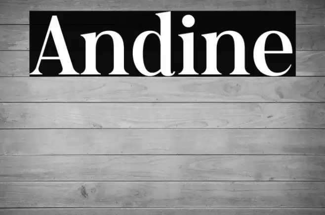 Andine Font examples