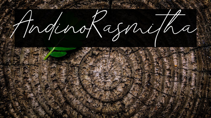 AndinoRasmitha Example 2