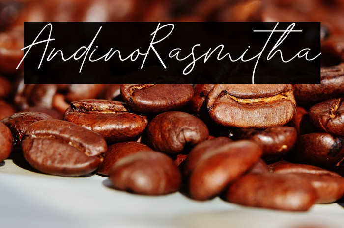 AndinoRasmitha Example 3