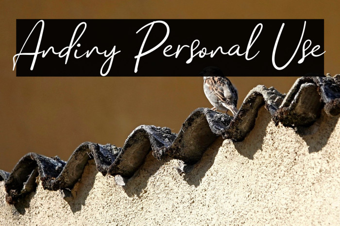 Andiny Personal Use Example 1