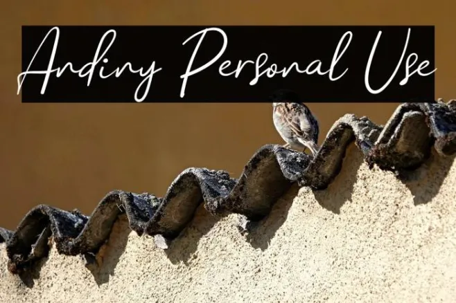 Andiny Personal Use Example 1