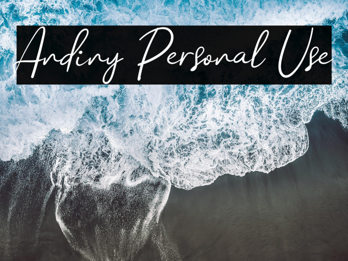 Andiny Personal Use Example 2