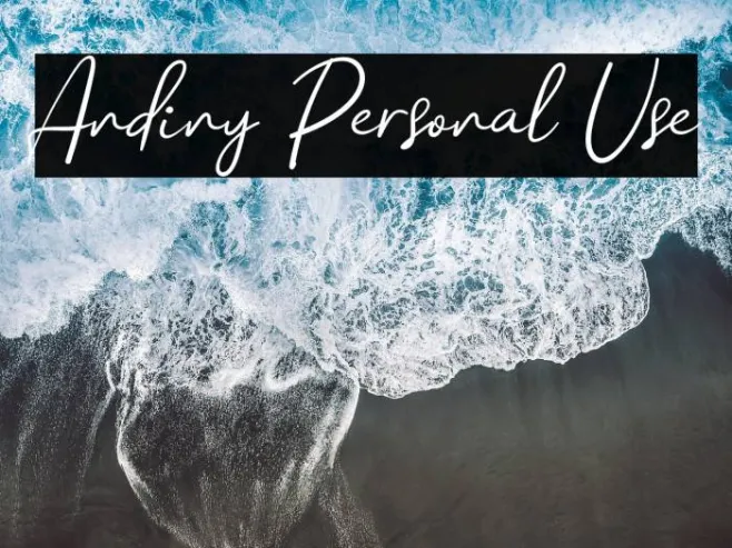 Andiny Personal Use Example 2
