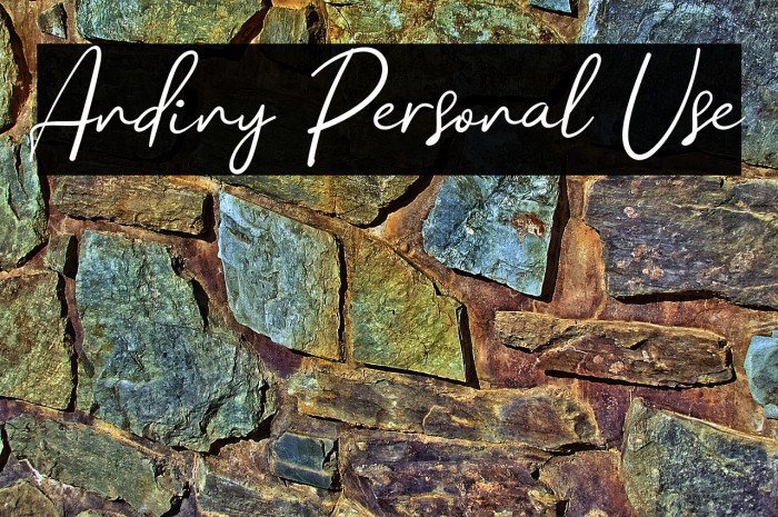 Andiny Personal Use Example 3