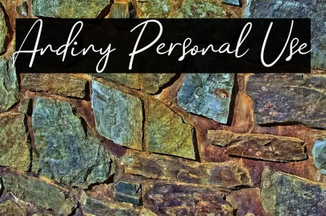 Andiny Personal Use Example 3