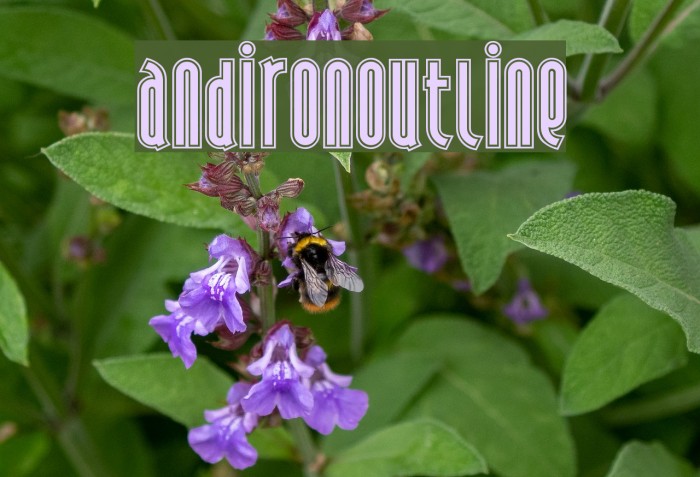 AndironOutline Font examples