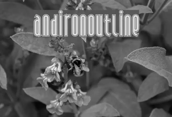 AndironOutline Polices examples