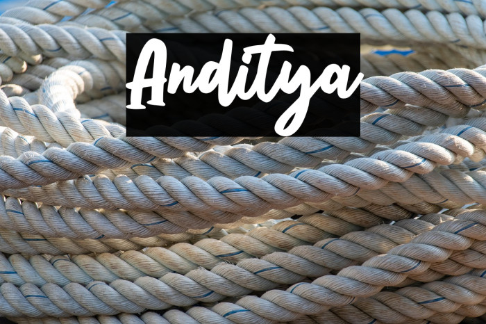Anditya Example 1