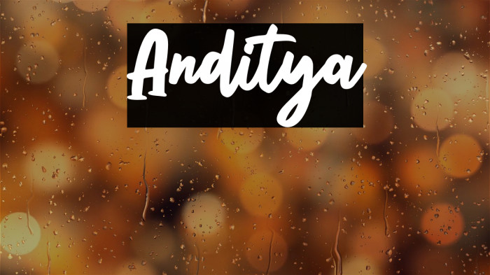 Anditya Example 3