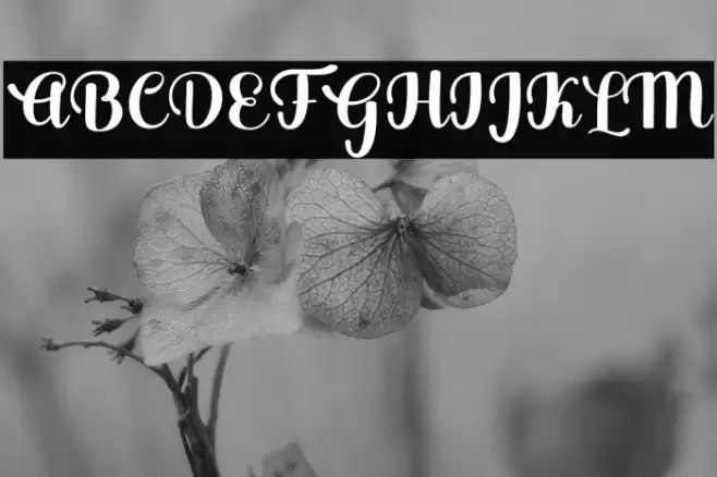 Andmesh Font examples