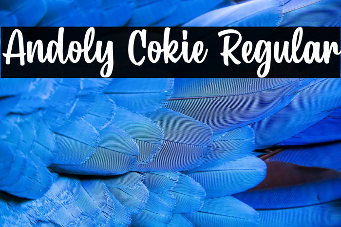 Andoly Cokie Regular Example 1