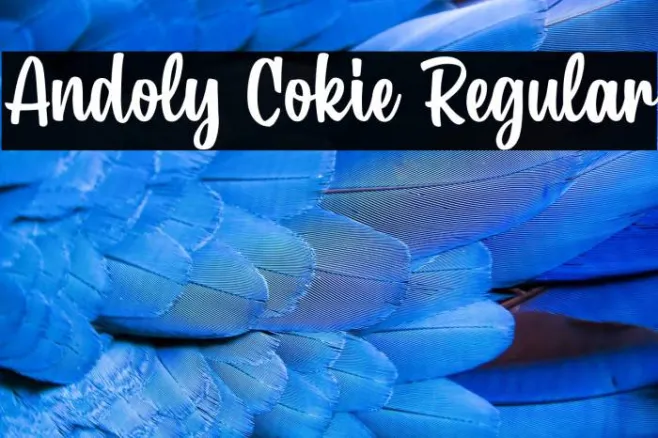 Andoly Cokie Regular Example 1