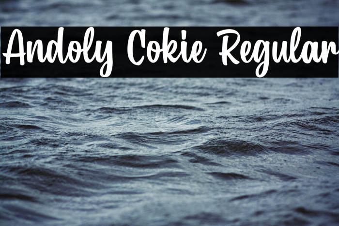 Andoly Cokie Regular Example 2