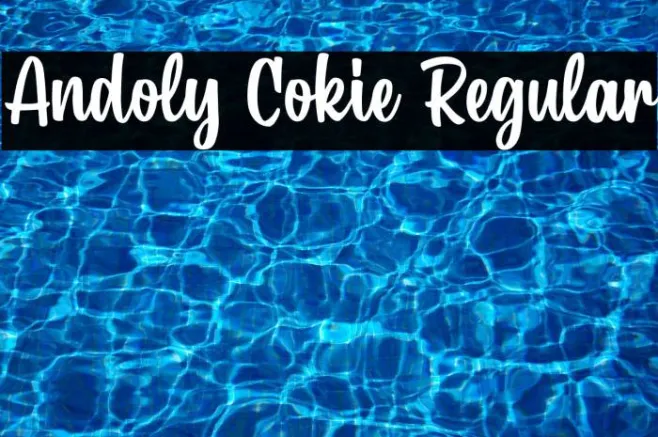 Andoly Cokie Regular Example 3