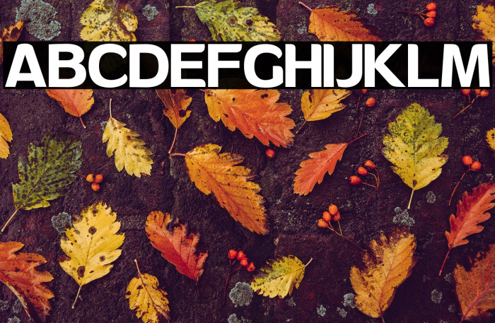 Andor PersonalUse Example 1