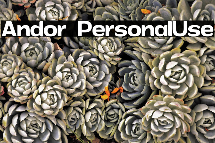 Andor PersonalUse Font examples