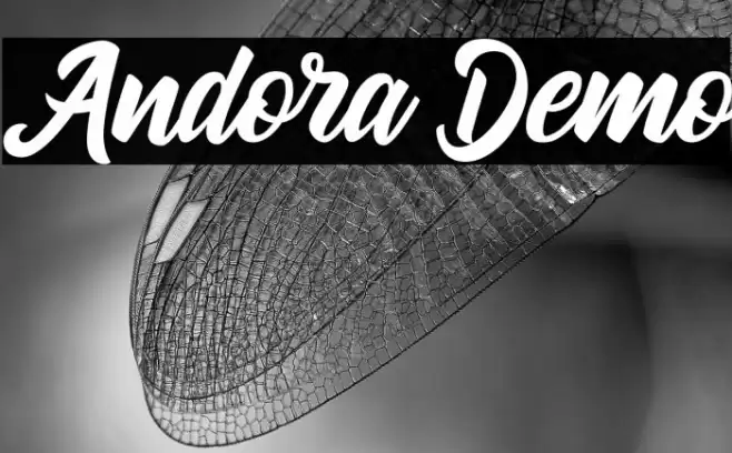 Andora Demo Schriftart examples