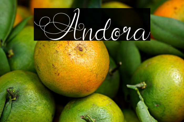 Andora Example 1