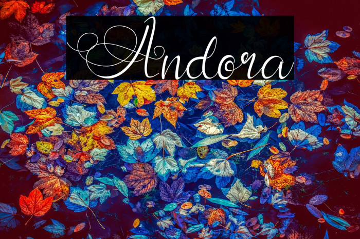 Andora Example 3