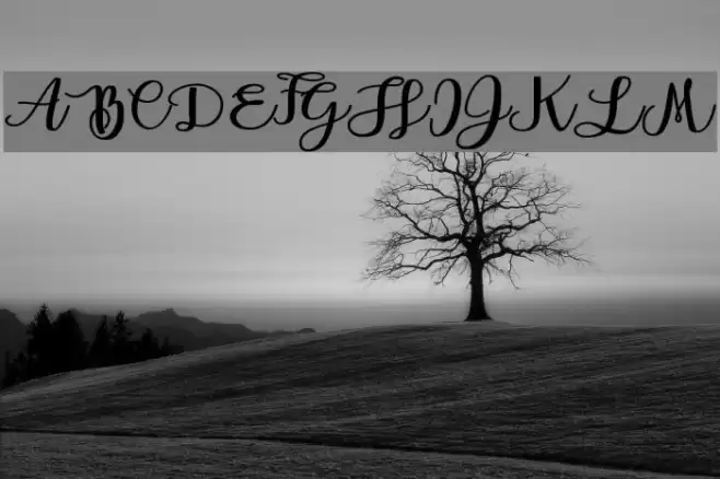 Andorra Personal Use Font examples