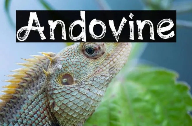 Andovine Example 2