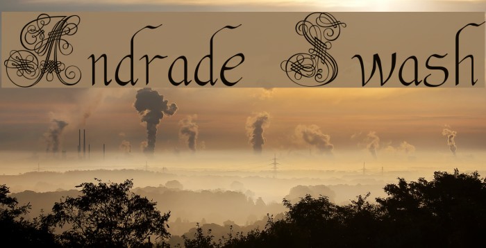 Andrade Swash Font examples