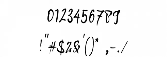 Andragogy Signature Font OTHER CHARS