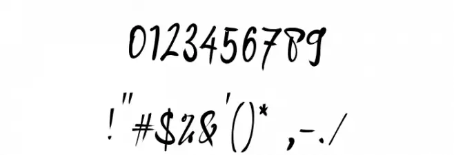 Andragogy Signature Font OTHER CHARS