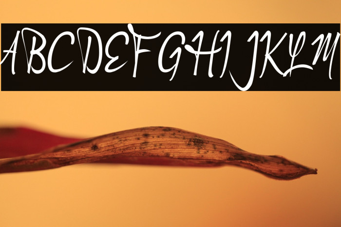 Andragogy Signature Example 1