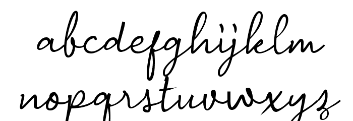 Andragogy Signature Font LOWERCASE