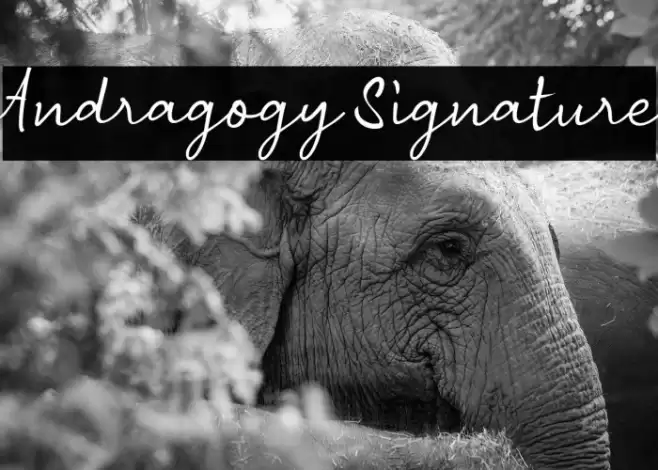 Andragogy Signature Font examples