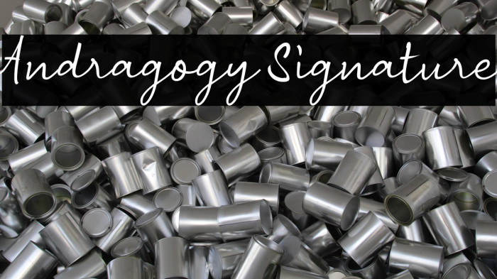 Andragogy Signature Example 3