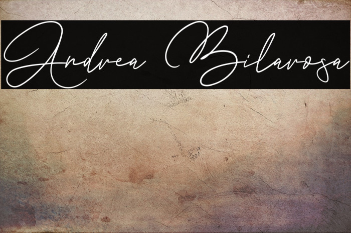 Andrea Bilarosa Example 1